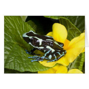 Costa Rica, Península de Osa