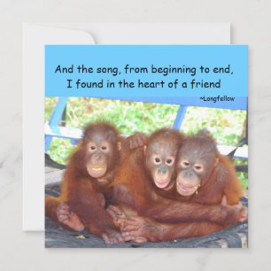 Cotización de amistad