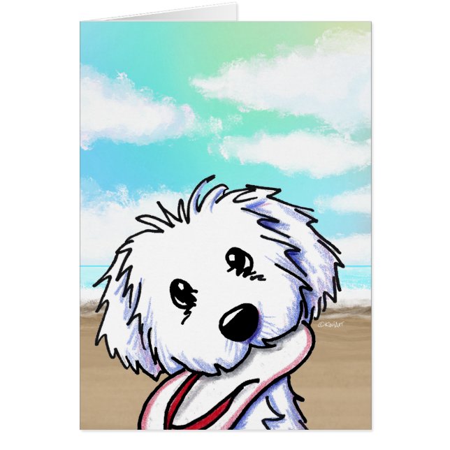 Coton de Tulear (Frente)