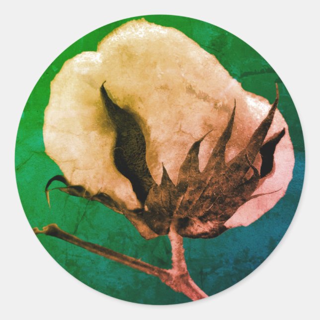 Cotton Boll Pegatina (Anverso)
