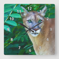 Cougar en el reloj de la jungla