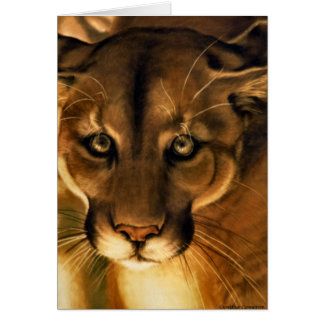 Cougar - León de montaña - Puma