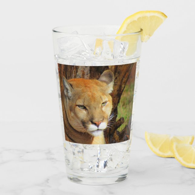 Cougar / Puma / FL Panther Tumbler / Shaker Glass (Reverso (hielo))