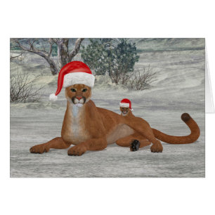 Cougar Y Cubo Festividad