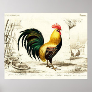 Country Rooster Vintage decoración de la pared del
