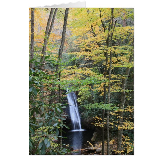 Courthouse Falls (Frente)