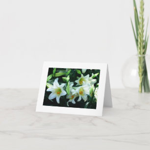 *COUSIN* ES TARJETA DE ANIMACIÓN DE PASTER