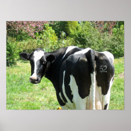 Cow 52 te mira arte Poster de fotos