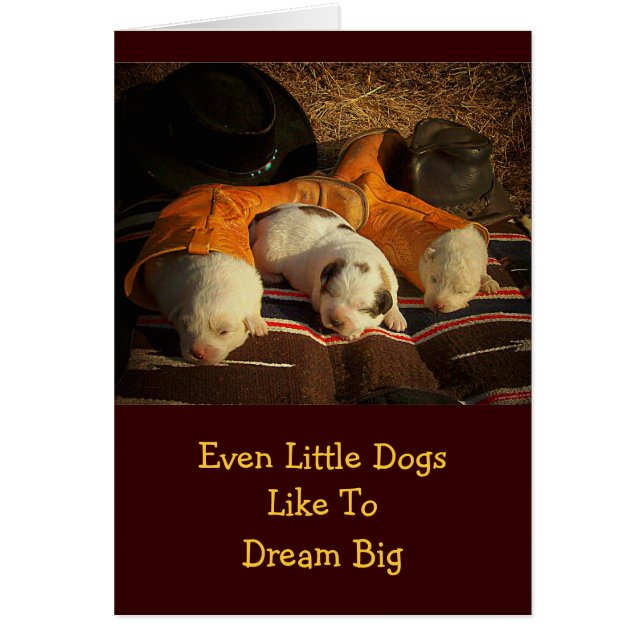 Cowboy Puppies (Frente)