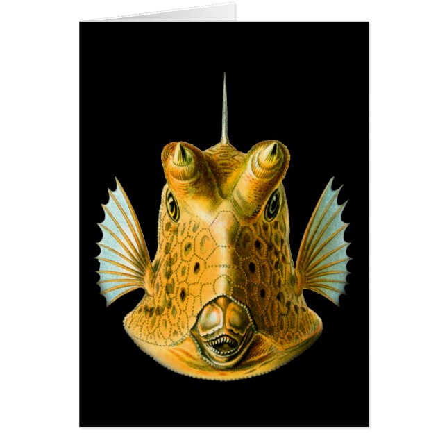 Cowfish Largo-de cuernos (Frente)