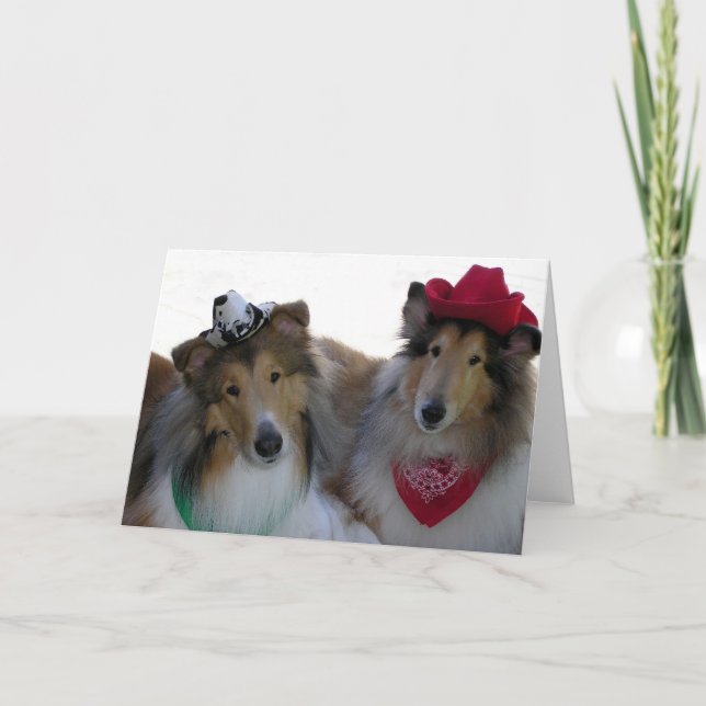 Cowpokes del collie toda la tarjeta de la ocasión (Anverso)