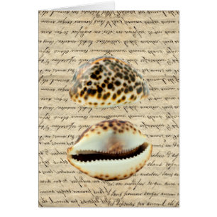 Cowrie
