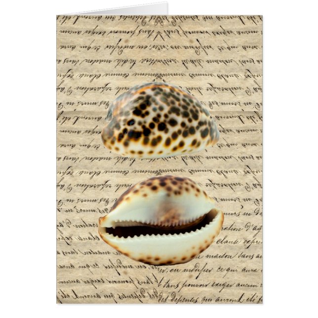 Cowrie (Frente)