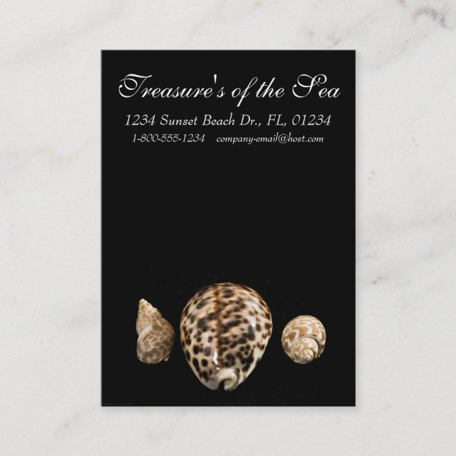 Cowrie Cones 2 tarjeta de visita (Anverso)