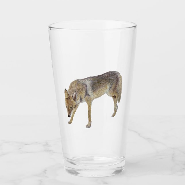Coyote (Anverso)