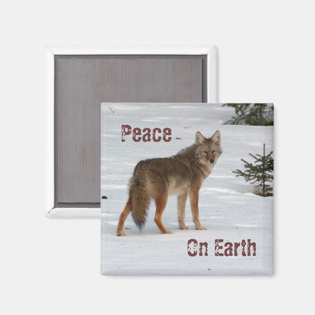 Coyote en imán de nieve (Anverso/Reverso)