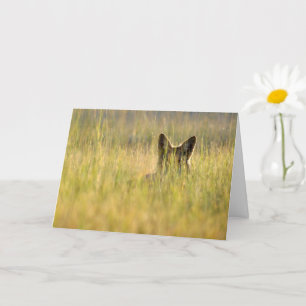 Coyote en tarjeta de felicitación plegada a la luz