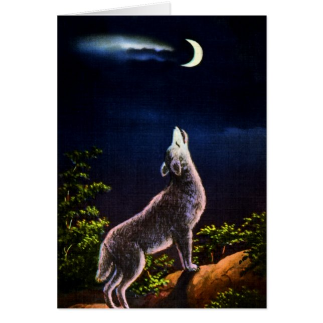 Coyote Howling en la Luna (Frente)