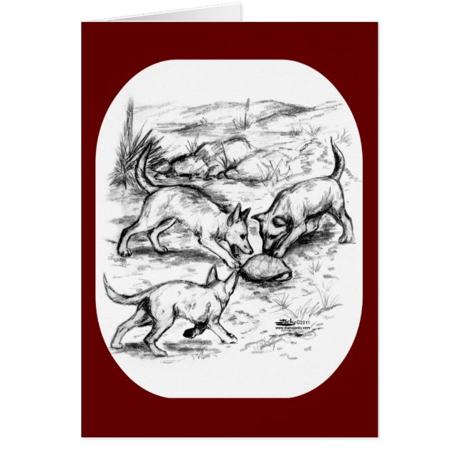 Coyote Pups (Frente)