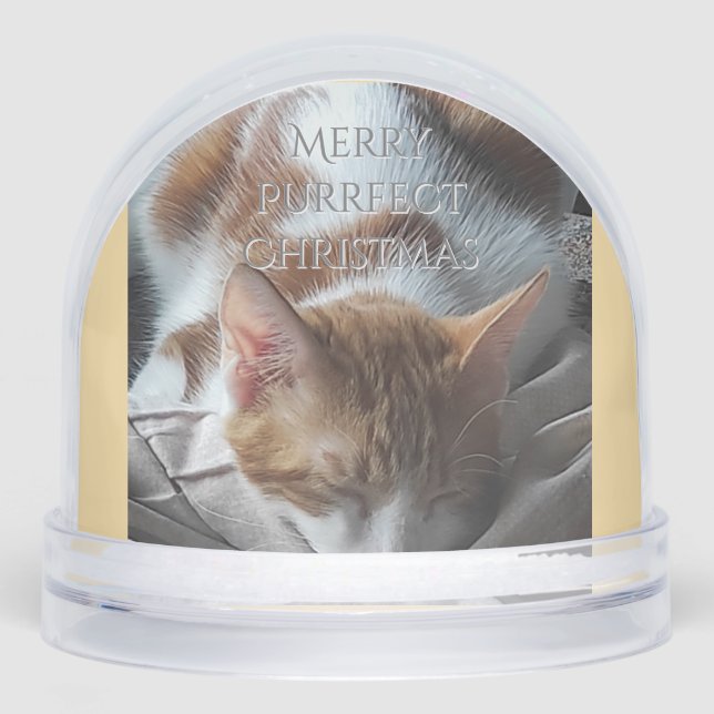 Coz Kitten Snow Globe Christmas Gift (Anverso)