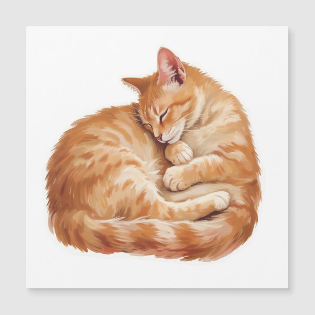 Cozy Companions Collection - Sleeping Cat Magnet (Anverso)