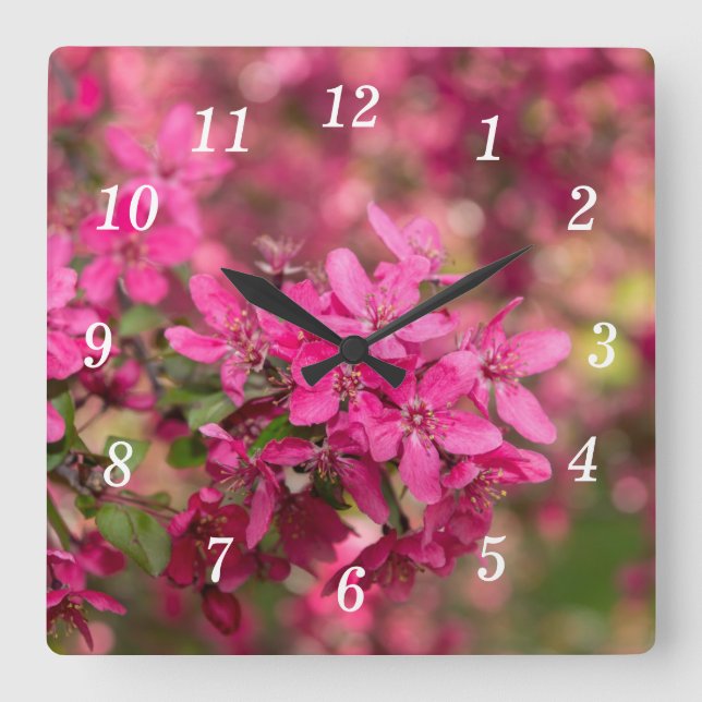 Crab Apple florece reloj de pared (Anverso)