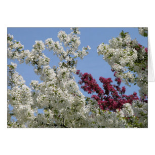 Crabapples en el arboreto