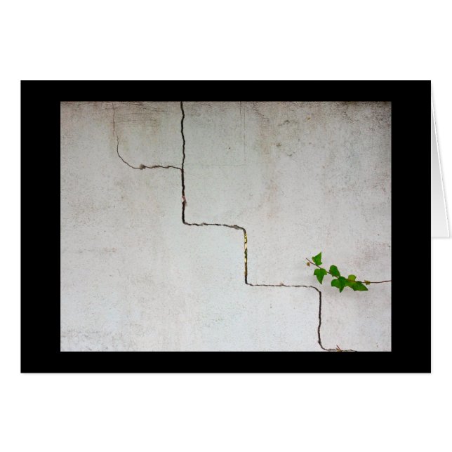 Crackeado (Anverso (Horizontal))