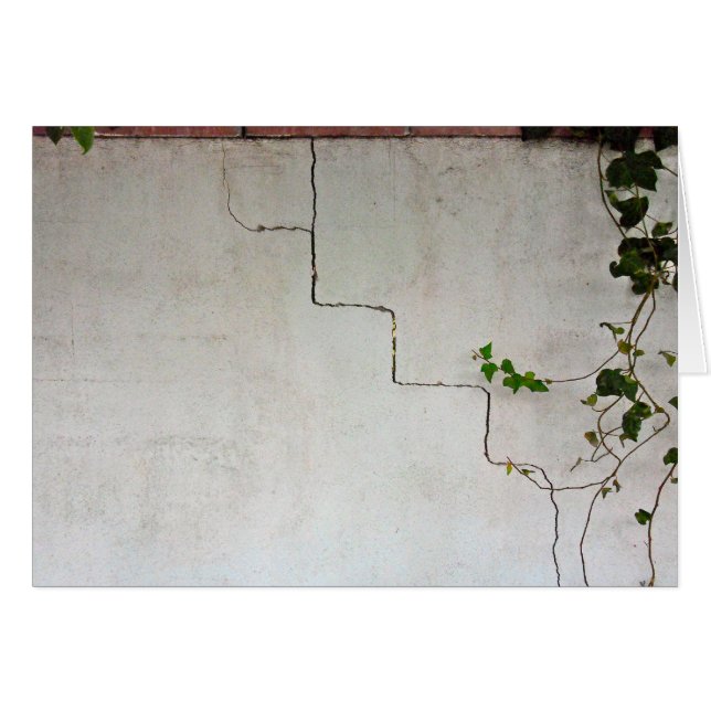 Crackeado con vino (Anverso (Horizontal))