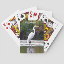 Crana blanca jugando cartas