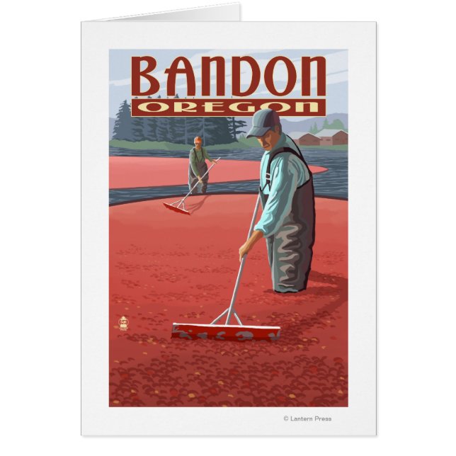 Cranberry Bogs Harvest - Bandon, Oregon (Frente)