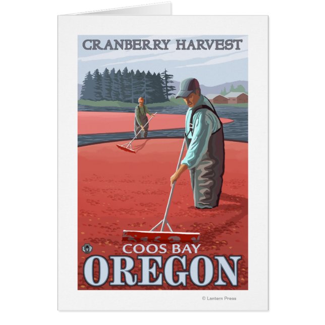Cranberry Bogs Harvest - Coos Bay, Oregon (Frente)