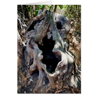 Cráneo de árbol con trompeta