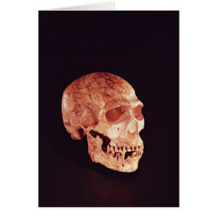 Cráneo del Neanderthal, descubierto en Mt Carmel