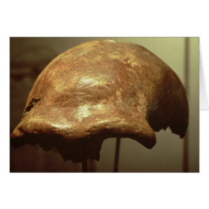 Cranio de un neandertal