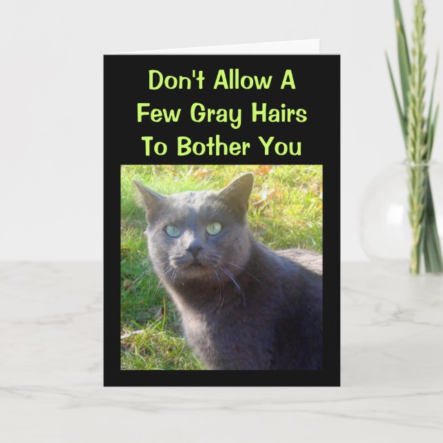 Cranky Cat Tarjeta de cumpleaños humorística (Anverso)