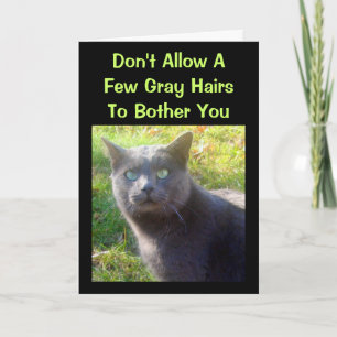 Cranky Cat Tarjeta de cumpleaños humorística