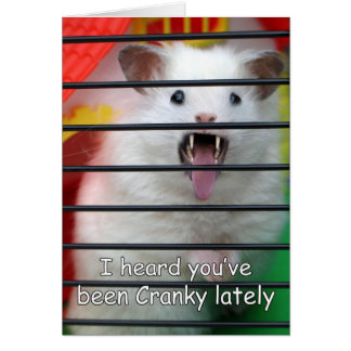 Cranky Critter