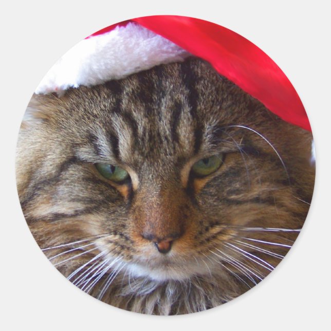 Cranky Navidades Pegatinas de gatos (Anverso)