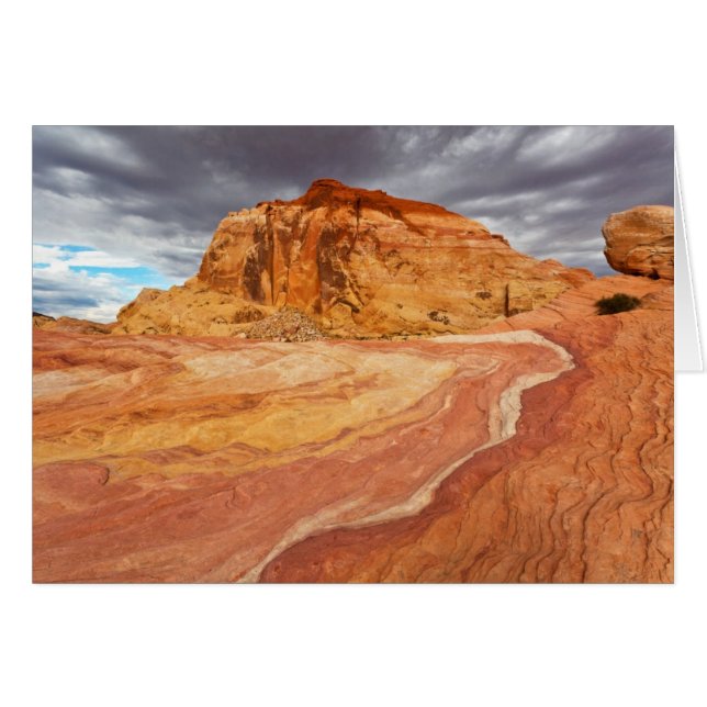 Crazy Hill Tempest (Anverso (Horizontal))