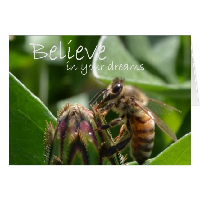 Crea en sus sueños (Anverso (Horizontal))