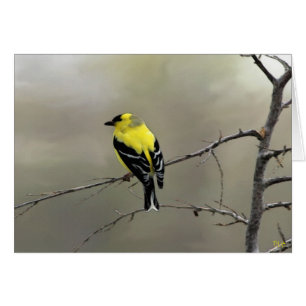 Crea siempre en sí mismo