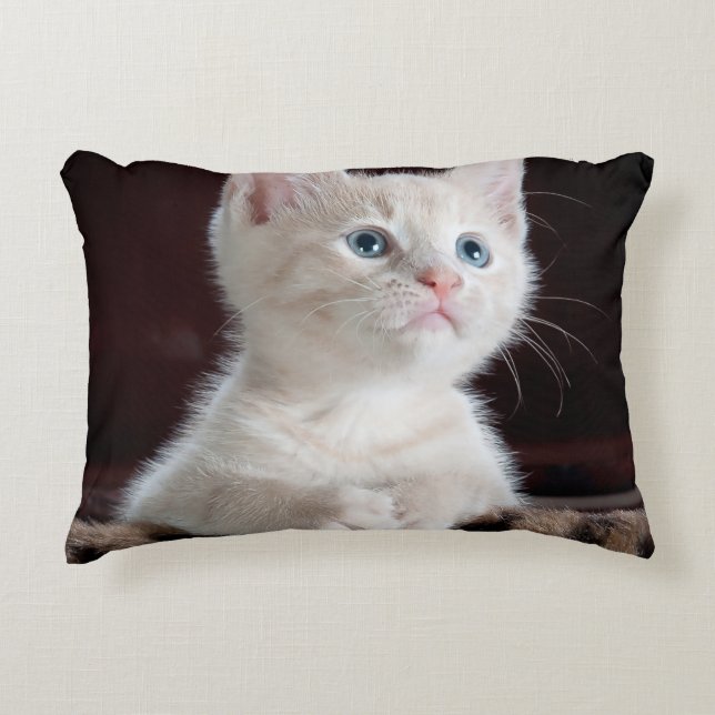 Crea tu propia almohada personalizada simple (Anverso)