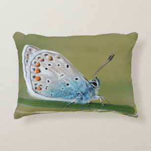 Crea tu propia almohada personalizada simple de 13