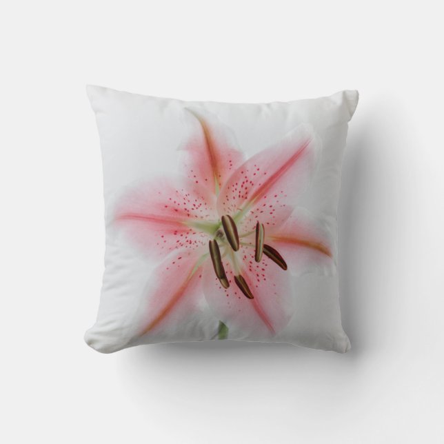 Crea tu propia almohada personalizada simple de 16 (Anverso)