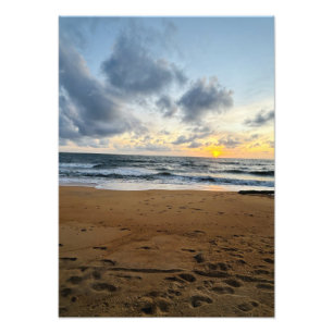 Crea tu propia foto arroz solar moderno simple