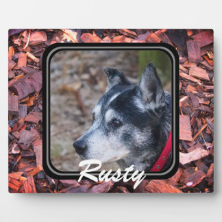 Crea tu propia placa para mascotas