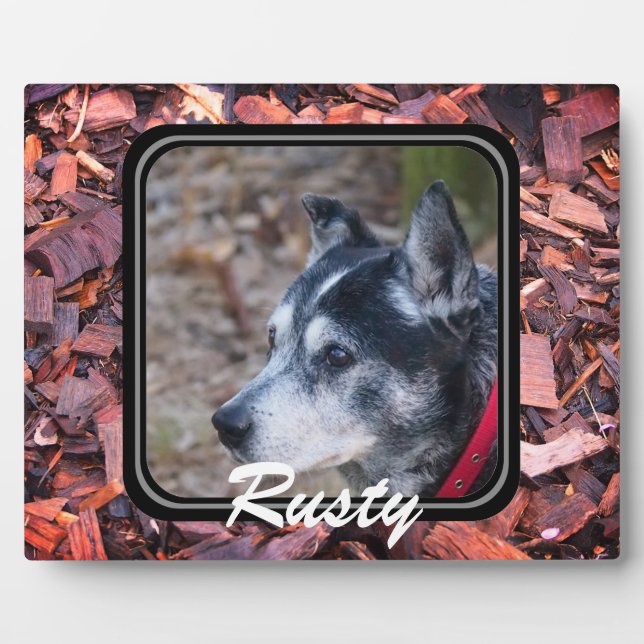 Crea tu propia placa para mascotas (Frente)