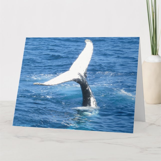 Crea tu propia tarjeta de fotos (Anverso)