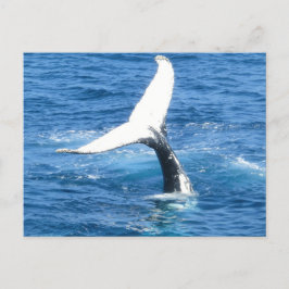 Crea tu propia tarjeta postal de fotos